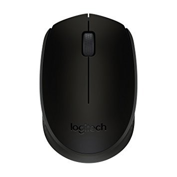 LOGITECH WL B170 OPT MOUSE BLK