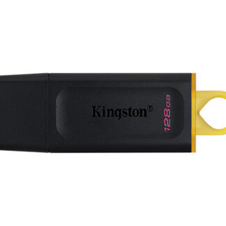 128GB USB3.2 DTX KINGSTON