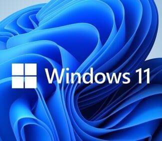 WIN 11 HOME 64BIT ENG DSP DVD