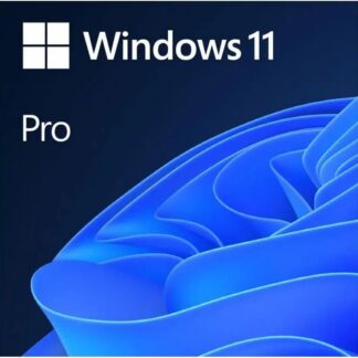 WIN 11 PRO 64BIT ENG USB FPP