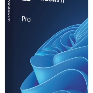 WIN 11 PRO 64BIT BULG USB FPP