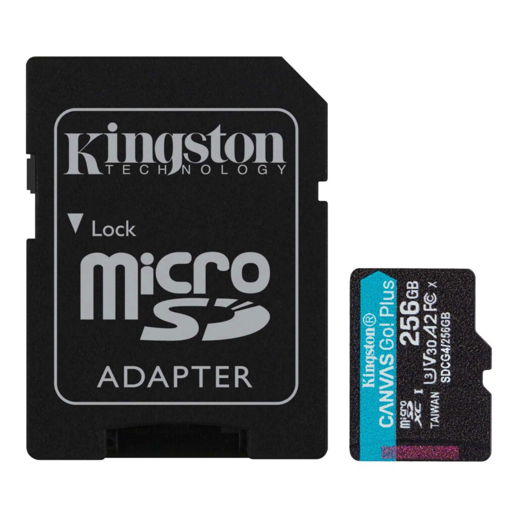 256G SDMIC KINGST GO+ SDCG4