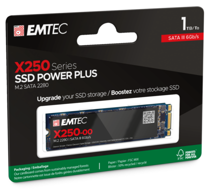 EMTEC SSD X250 1TB M2 SATA